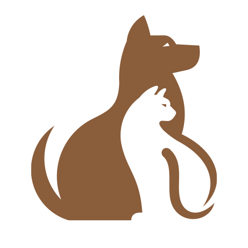 pet care pet care